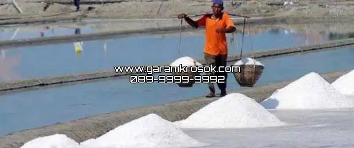 Jual Garam Kasar Sidoarjo Terdekat untuk Usaha dan Industri